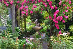 Cottage Gardens