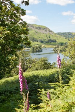 Rydal Water