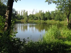 Morgan's Pool Wallpaper