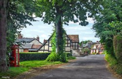 Witchampton in Dorset Wallpaper