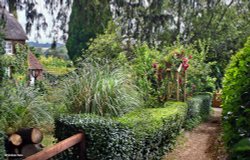 Witchampton in Dorset