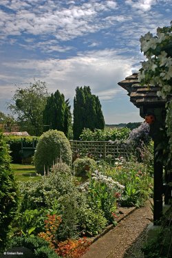 Witchampton in Dorset