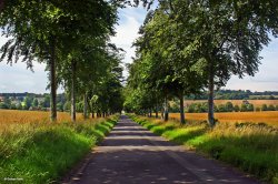 Witchampton in Dorset Wallpaper