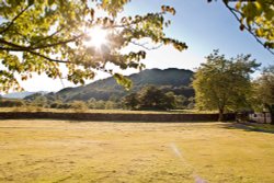 Borrans park Wallpaper