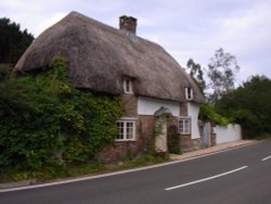 Affpuddle, Dorset