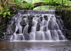 Waterfall in Sunnyhurst woods Wallpaper