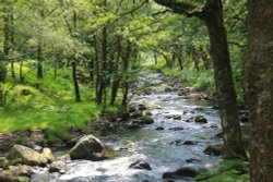 Afon Artro near Llanbedr Wallpaper