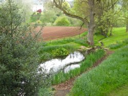 View from the gardens at Brobury House