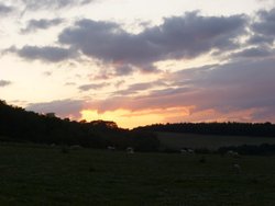 Pasture on hill above Snowshill at dusk. Wallpaper