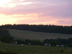 Lavender skies above Snowshill pasture. Wallpaper