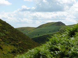The Long Mynd Wallpaper