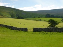 Near Hawes Wallpaper
