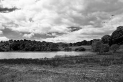 Loughrigg Tarn B&W Wallpaper