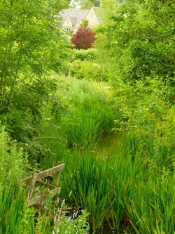 Approaching Lower Slaughter from the Footpath