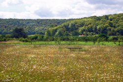 Stour Valley Summer