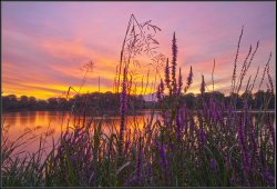 The Mere Sunrise. Wallpaper