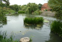 The Mill Pond For Cobham Mill Wallpaper