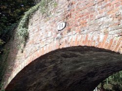 A walk along the canal in summer Wallpaper