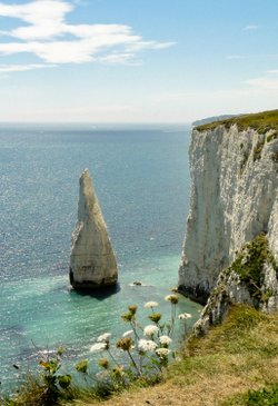 Harry's rocks - Studland, Dorset