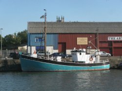 Turquoise Tauranga Wallpaper