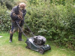 Keen Gardener Wallpaper