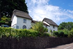 Thatched Cottage