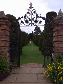 Yew tree avenue, Packwood House