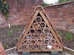 The Bug Hotel, Packwood House Wallpaper