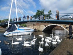 Wroxham Bridge