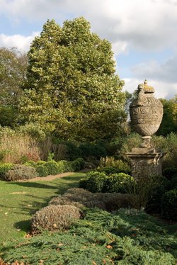 Petworth Gardens