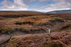 Whitendale Hanging Stones Wallpaper