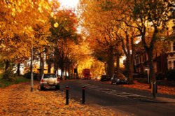 Autumn in Brockley Wallpaper