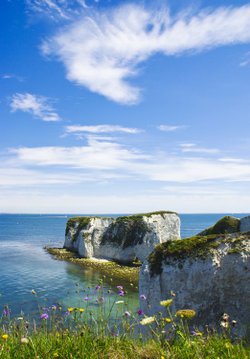 Old Harry's Rocks Dorset