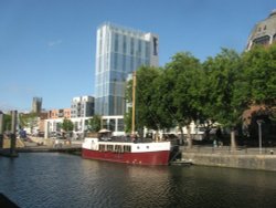 Under the Stars Wallpaper