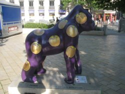 Apple of My Eye Wallpaper