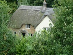 The Cottage In The Woods. Wallpaper