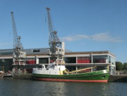 Bee and Seagull Wallpaper