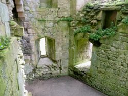 Natural Growth. Wallpaper