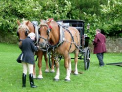 Transport in Style Wallpaper