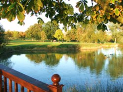 In reflective mood! Wallpaper