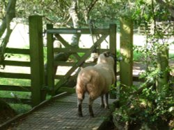 Now How Does This Work? Wallpaper