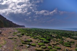 The Beach at Reculver