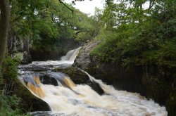Triple Spout Wallpaper