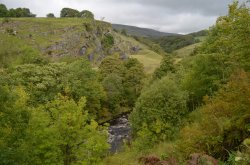 Doe Valley Wallpaper