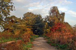 Stour Valley Autumn, Shillingstone. Wallpaper