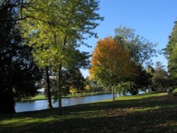 Caversham Court Gardens in Autumn Wallpaper