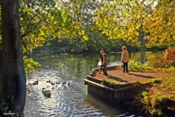 Stour Valley Autumn Wallpaper