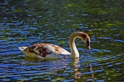Stour Valley Autumn Wallpaper