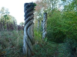 Around the lanes Wallpaper