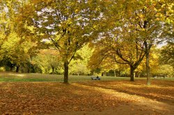 Hyde Park in the fall. Wallpaper